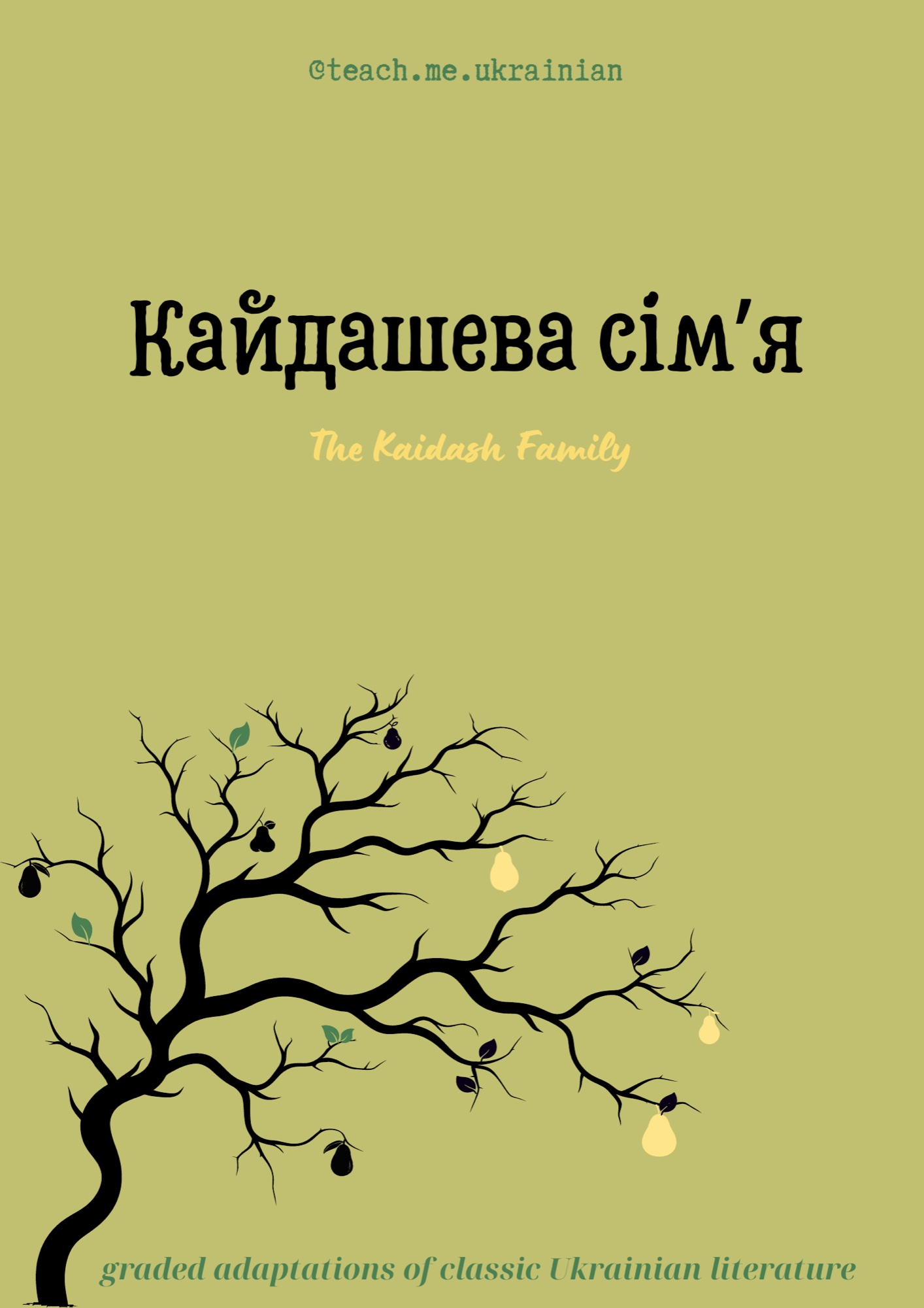 The Kaidash Family — Кайдашева сім’я book image